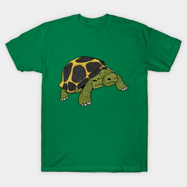 Tortoise T-Shirt by Geometrico22